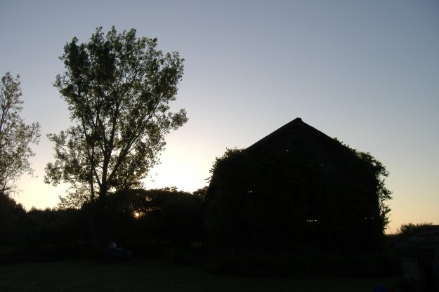 Barn & Cottonwood At Sunrise